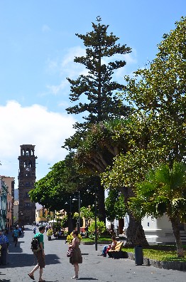 La Laguna - Centro