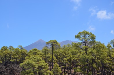 Tenerife